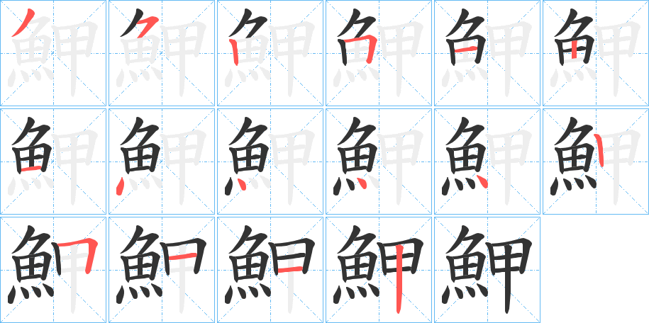 魻的筆順分步演示