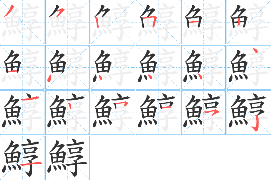 鯙的筆順?lè)植窖菔?>
					
                    <hr />
                    <h2>鯙的基本信息</h2>
                    <div   id=