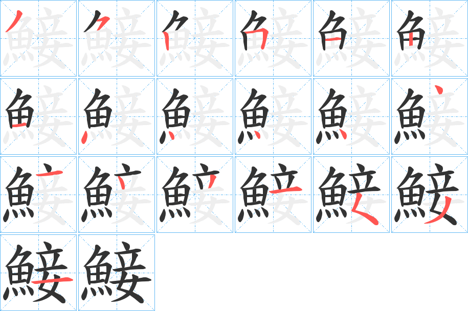 鯜的筆順分步演示