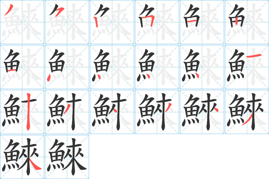 鯠的筆順分步演示