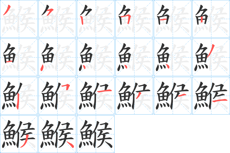 鯸的筆順分步演示