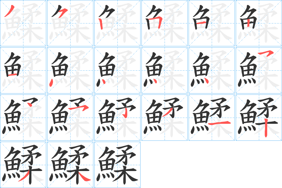 鰇的筆順分步演示