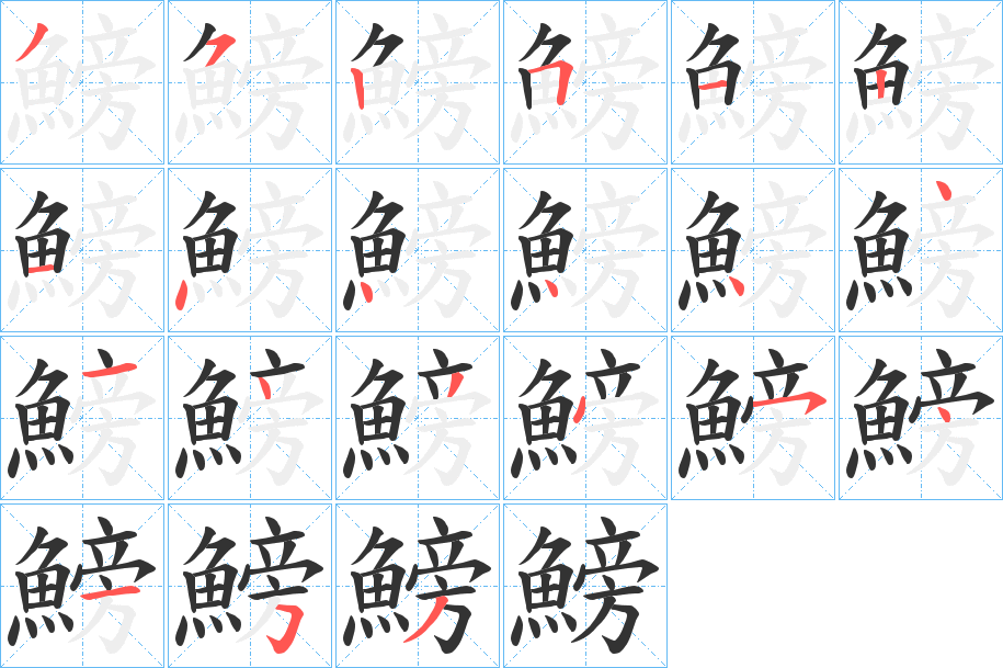 鰟的筆順?lè)植窖菔?>
					
                    <hr />
                    <h2>鰟的基本信息</h2>
                    <div   id=