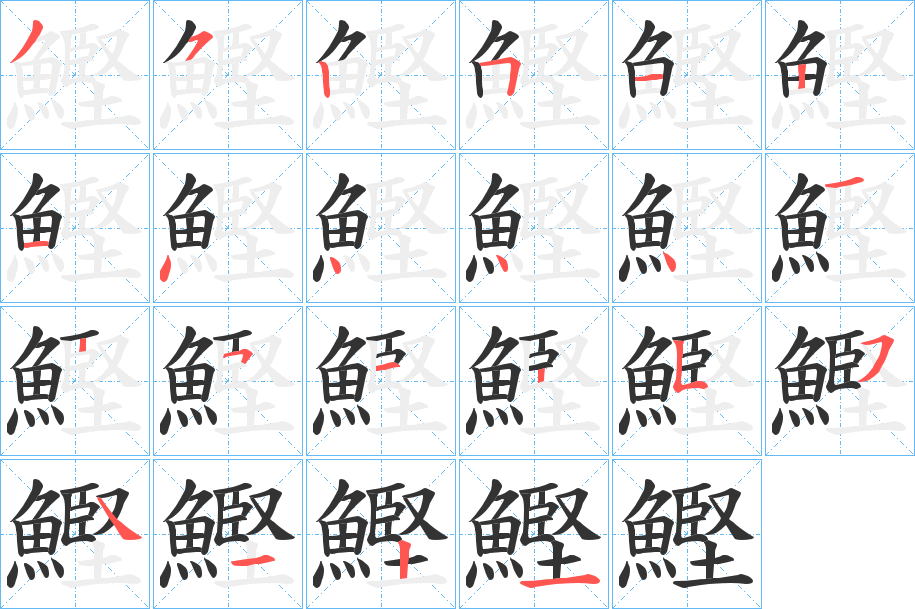 鰹的筆順分步演示