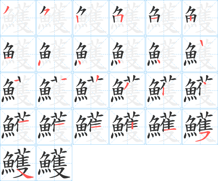 鱯的筆順分步演示