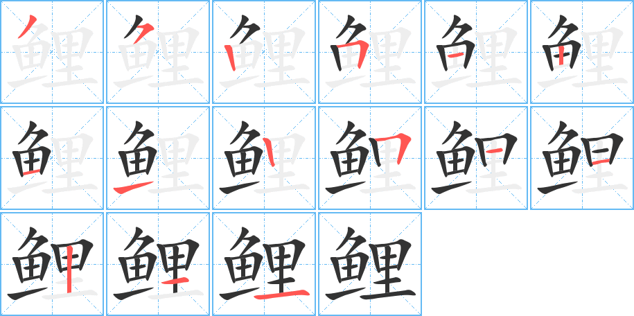 鯉的筆順分步演示