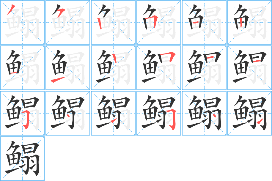 鰨的筆順?lè)植窖菔?>
					
                    <hr />
                    <h2>鰨的基本信息</h2>
                    <div   id=