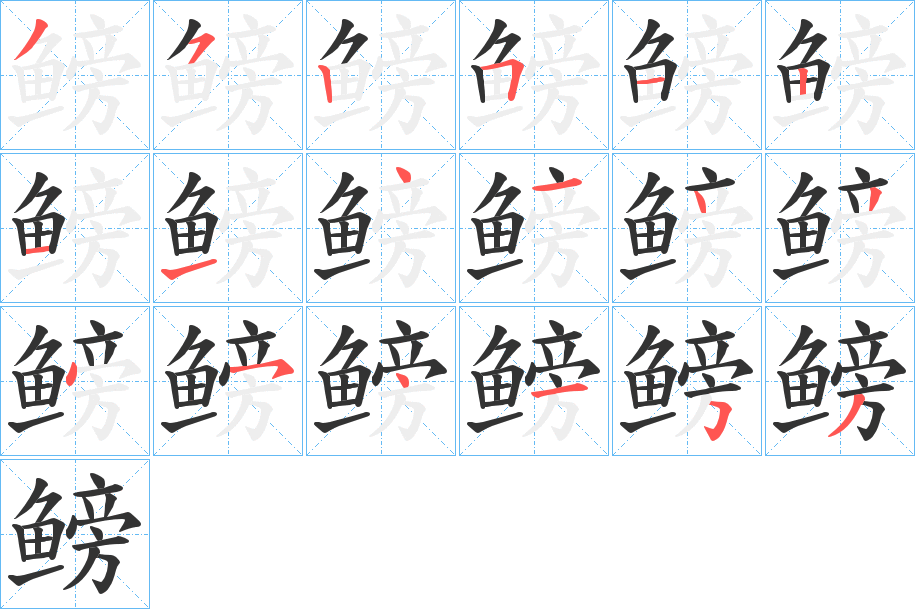 鳑的筆順分步演示