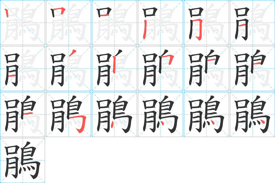 鵑的筆順分步演示