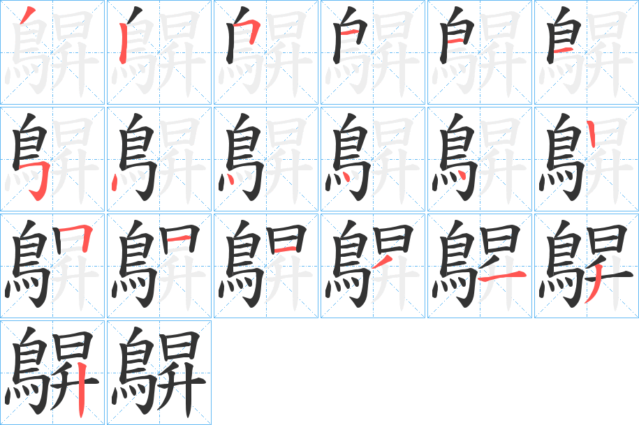 鵿的筆順?lè)植窖菔?>
					
                    <hr />
                    <h2>鵿的基本信息</h2>
                    <div   id=