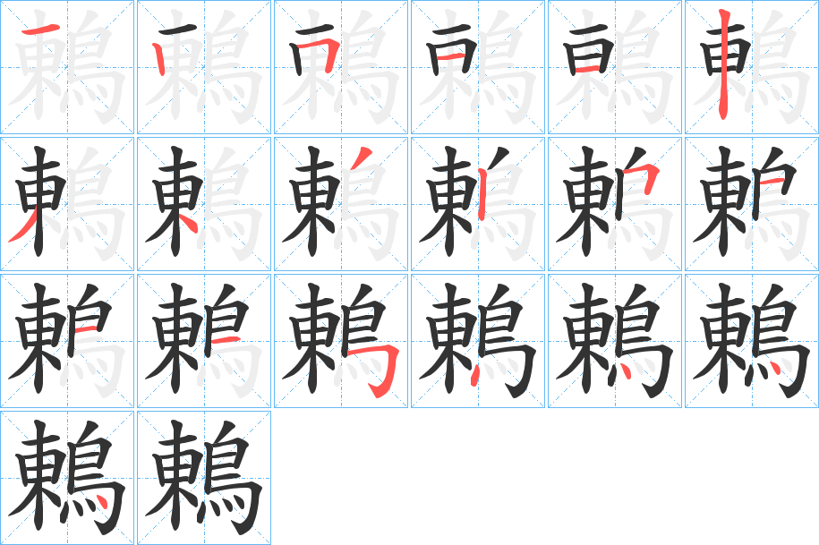 鶇的筆順分步演示