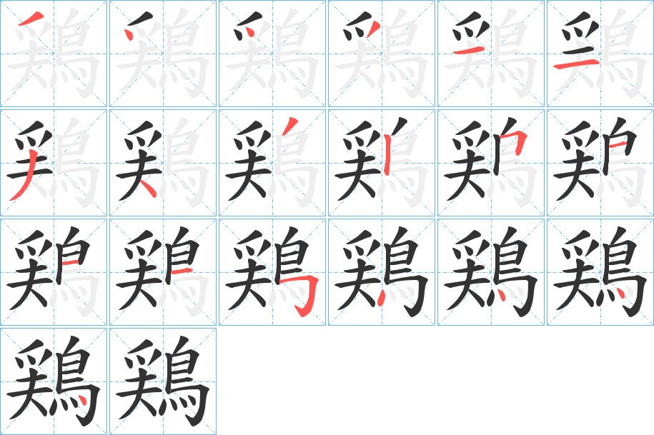 鶏的筆順分步演示