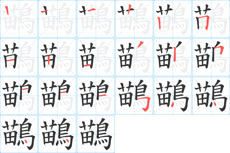 鶓的筆順分步演示