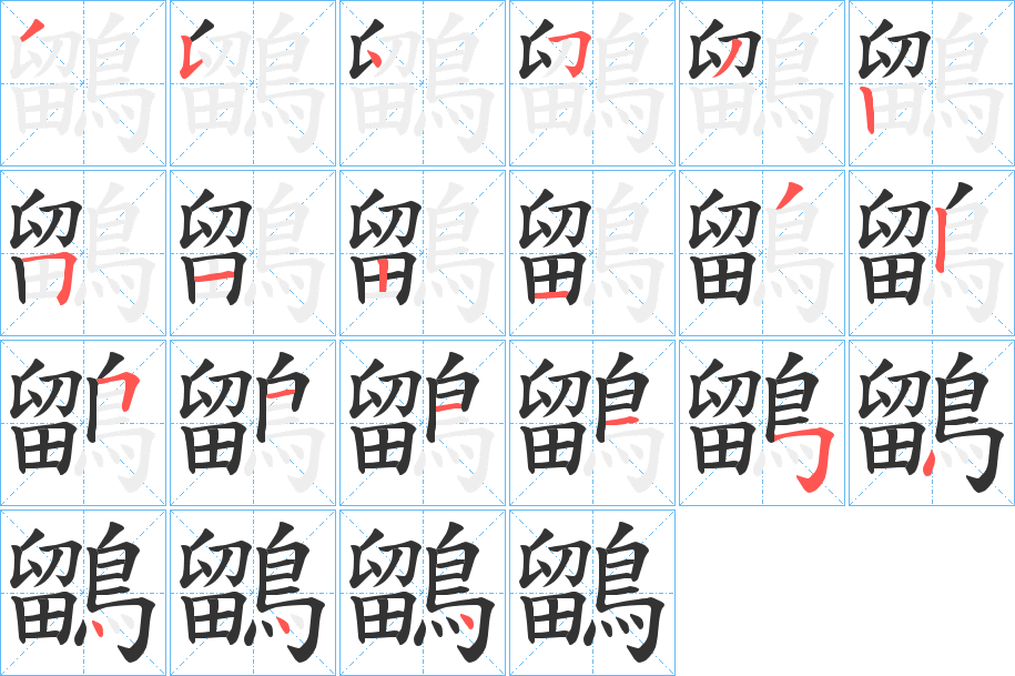 鶹的筆順分步演示