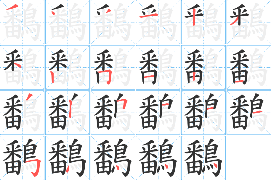 鷭的筆順分步演示