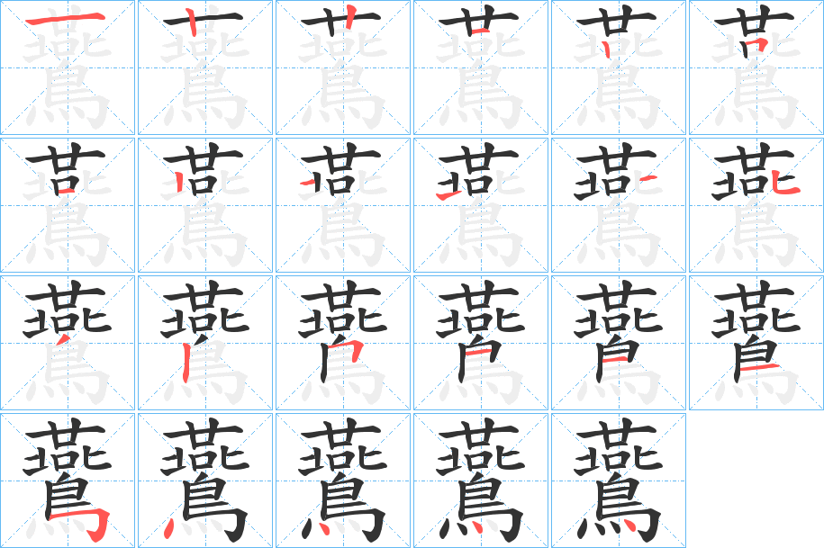 鷰的筆順分步演示