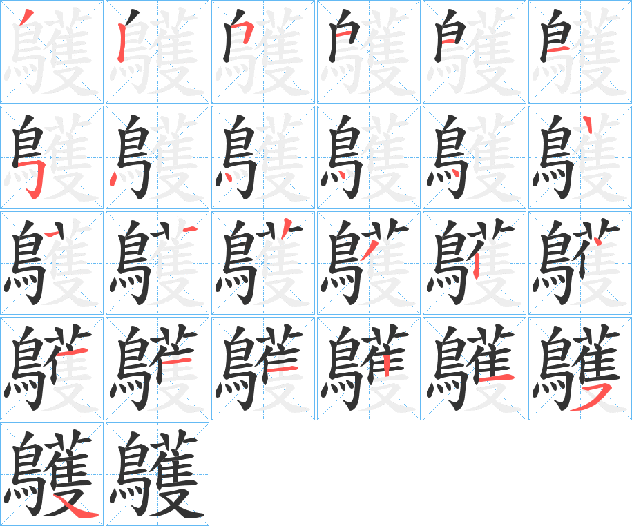 鸌的筆順分步演示