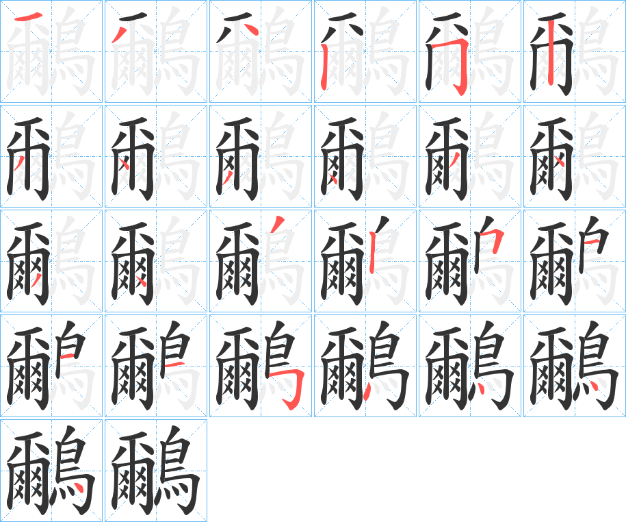 鸍的筆順分步演示