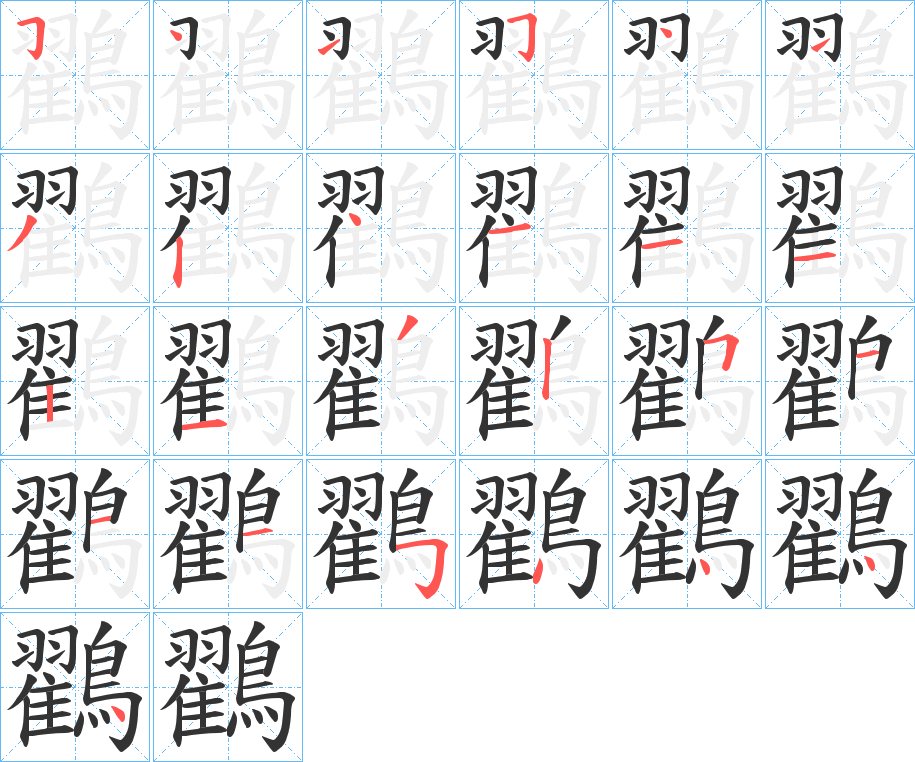 鸐的筆順分步演示