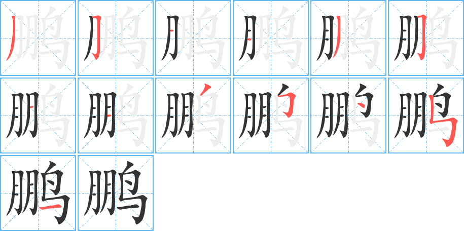 鵬的筆順分步演示