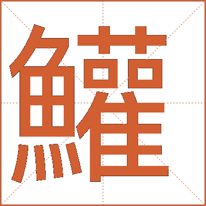 鱹